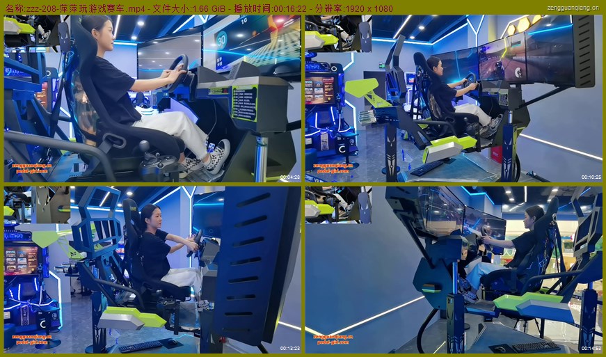 zzz-208
